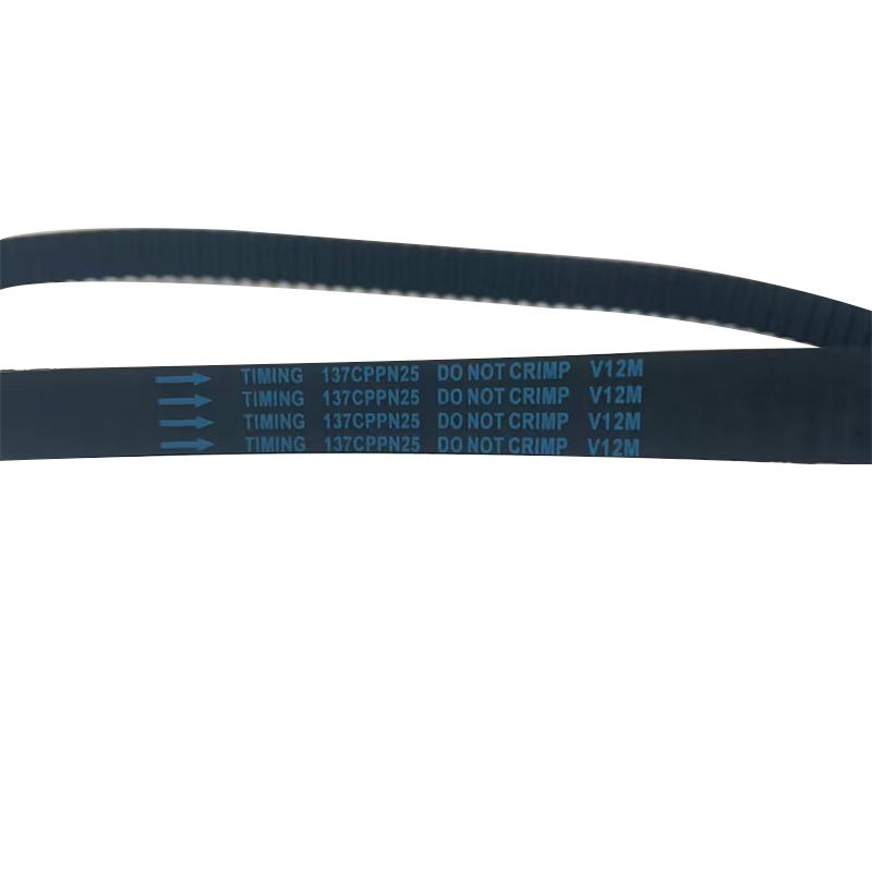 Timing Belt 5598XS 0816.G7 0816.J6 fit for vehicles to be updated Timing Belt 5598XS 0816.G7 0816.J6 fit for vehicles to be updated